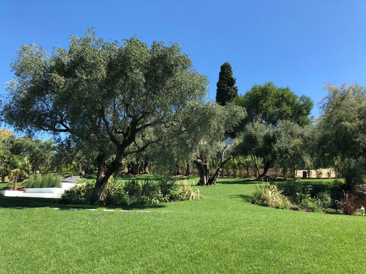ורונה Villa Il Bacio Del Sole מראה חיצוני תמונה