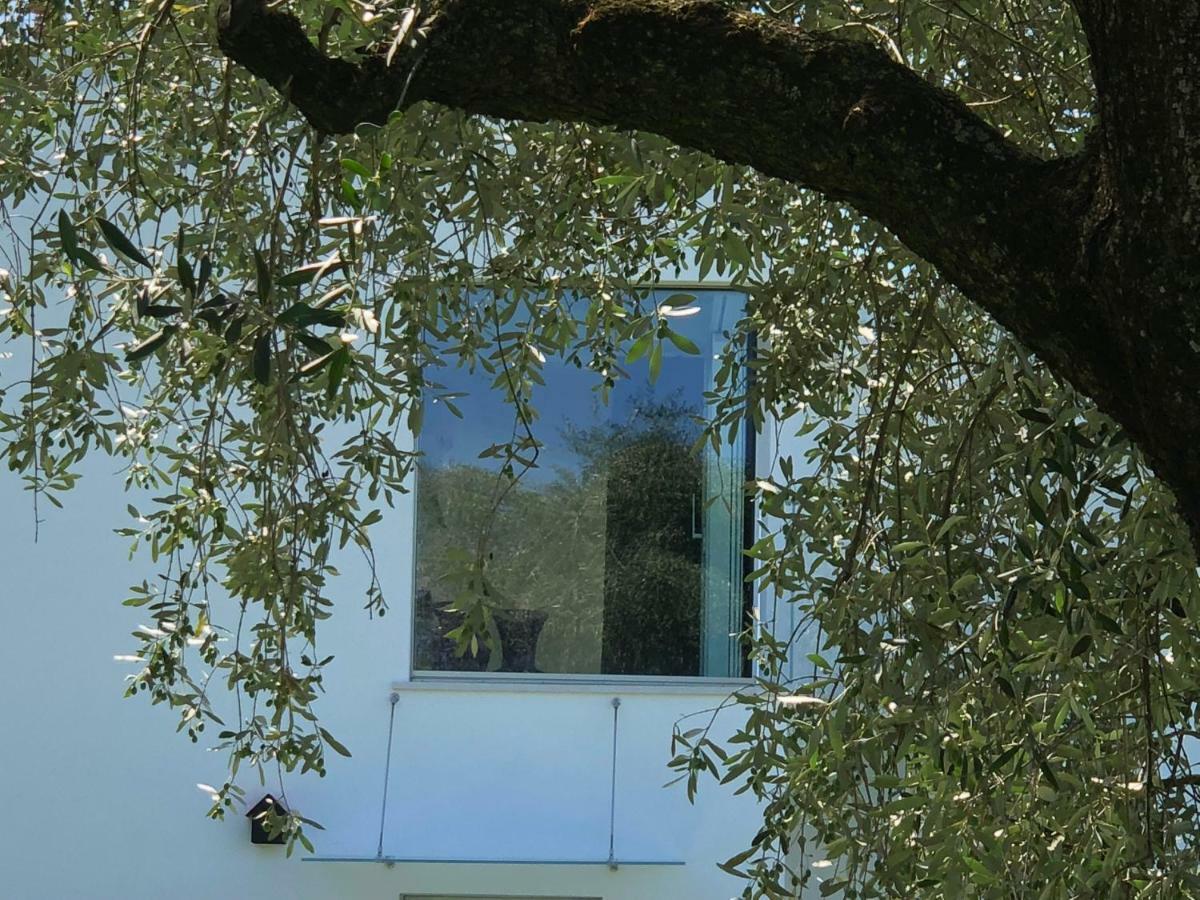 ורונה Villa Il Bacio Del Sole מראה חיצוני תמונה